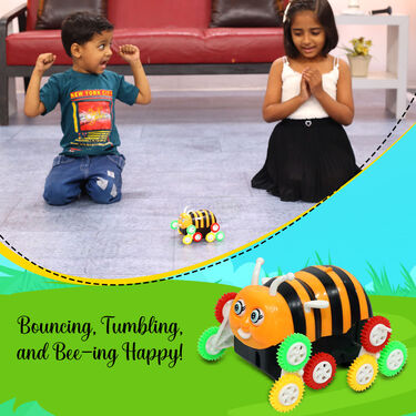 Bouncing And Tumbling Honey Bee (TB3)