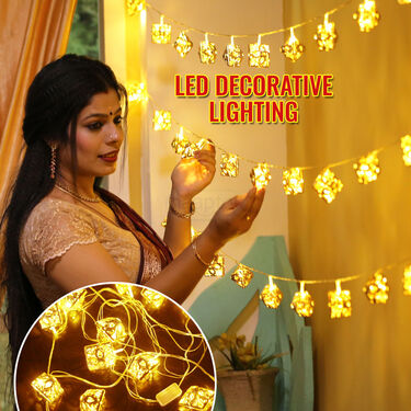 LED Decorative Lightings (L50)