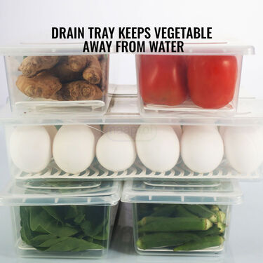 Pack of 6 Veggie Fresh Food Storage Container with Lid & Drain Tray (6VF1)